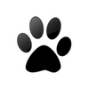 Captcha image 5044